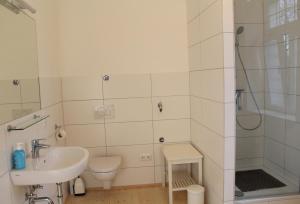 La salle de bains est pourvue d'un lavabo, de toilettes et d'une douche. dans l'établissement Haus Roy Ferienwohnung 1Etage, à Zülpich