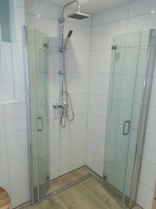 um chuveiro com uma porta de vidro na casa de banho em Drifthof em Glowe