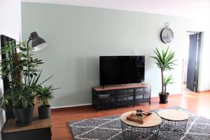 a living room with potted plants and a flat screen tv at Chez Jo in Lens