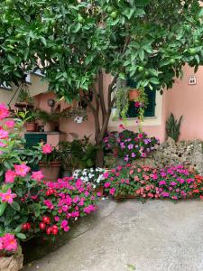 un ramo de flores delante de un árbol en Orchidea en Finale Ligure