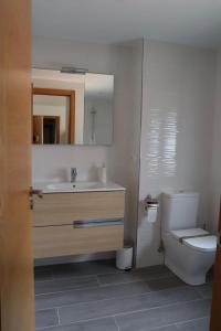 La salle de bains est pourvue d'un lavabo, de toilettes et d'un miroir. dans l'établissement Apartamento CATA Santiago de Compostela, à Saint-Jacques-de-Compostelle