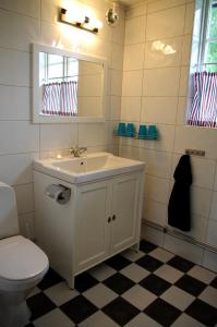 La salle de bains est pourvue d'un lavabo, de toilettes et d'un miroir. dans l'établissement Göta kanal Hajstorp, à Töreboda