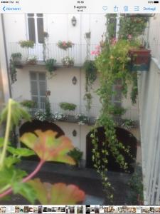 un balcón con macetas y un edificio en Magnolia, en Casale Monferrato