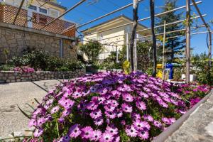 Zahrada ubytování Apartman Gržetić