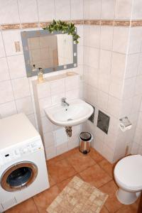 ein Badezimmer mit einem Waschbecken und einer Waschmaschine in der Unterkunft Landhaus im Grünen - Sine Tempore in Grammendorf