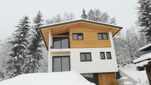 a house covered in snow with trees in the background at Haus Siebenschläfer in Itter