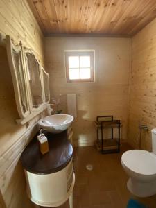 a bathroom with a sink and a toilet at Chalé 41 in Cortes do Meio