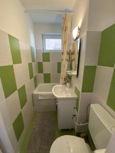 a green and white bathroom with a toilet and sink at Focus Apartment in Miercurea-Ciuc