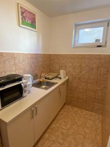 una piccola cucina con lavandino e forno a microonde di Focus Apartment a Miercurea-Ciuc