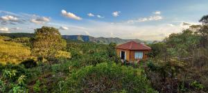 una pequeña casa en medio de un campo en Bangalôs Canto da Coruja en Sao Jorge
