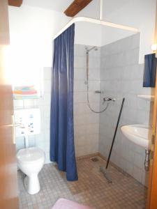 a bathroom with a shower and a toilet and a sink at Ferienhof Bisdorf "Lunauhaus" Reihenhaus in Bisdorf