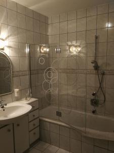 a bathroom with a shower with a sink and a tub at Rohrbacher Hof in Berg bei Rohrbach