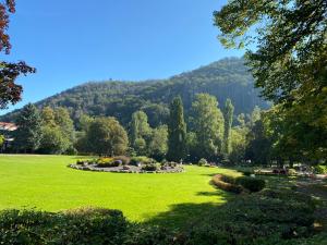 a green park with a mountain in the background at Relax im Wald in Bad Harzburg