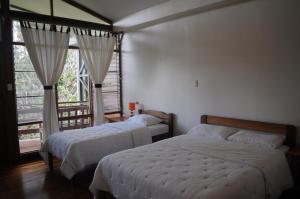 1 dormitorio con 2 camas y ventana grande en Estación Biológica Las Cruces y Jardín Botánico Wilson, en San Vito