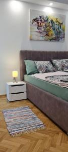 Gallery image of OLIVERA APARTMENT in Belgrade