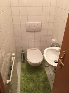 La petite salle de bains est pourvue de toilettes et d'un lavabo. dans l'établissement Ferienhaus Lutzmannsburg 2 mit direktem Thermenzugang und eigenem Garten, à Lutzmannsburg