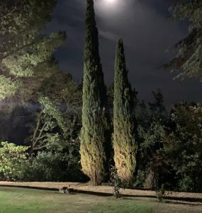 Vonkajšia záhrada v ubytovaní Villa Poggio fagianino