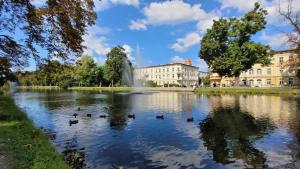 ein Teich vor einem Gebäude mit Enten darin in der Unterkunft Apartamenty Przy IV Śluzie - Gold in Bydgoszcz