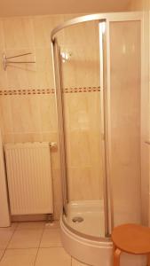 a shower with a glass door in a bathroom at Birkenstraße 15b App 14 in Zingst