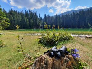 Afbeelding uit fotogalerij van Vila Aleksandar in Žabljak