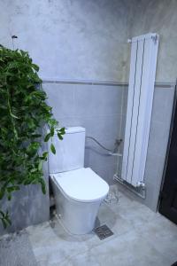 a white toilet in a bathroom with a plant at Apartament Royal in Dej