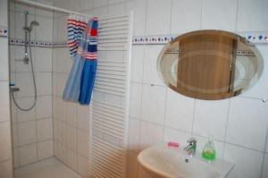 a bathroom with a shower and a sink and a mirror at FeWo Gotthard in Hanerau-Hademarschen