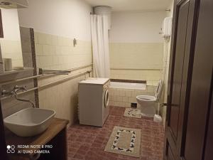 a bathroom with a sink and a toilet at Apartmani Lina in Ribarska Banja