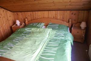 a bedroom with a bed with green sheets and two lamps at Ferienhaus Anke nur für Urlauber! in Bremke