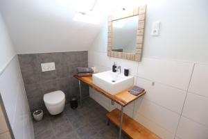 a bathroom with a sink and a toilet at BLUMENSTIL Ferienwohnungen 2 in Bad Salzungen