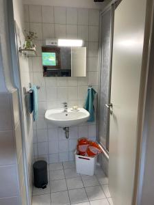 a small bathroom with a sink and a mirror at Feriendomizil Strandgut in Zierow
