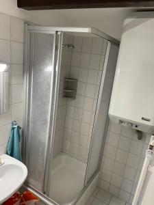 a shower stall in a bathroom with a sink at Feriendomizil Strandgut in Zierow