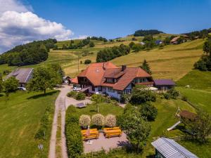 uma vista aérea de uma casa num campo verde em Ferienhof Wuchner - Fewo "Frühlingserwachen" em Fröhnd