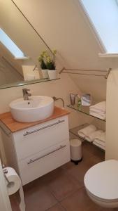 a bathroom with a sink and a toilet at Deichhof Whg 26 in Dunsum
