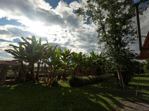 Vonkajšia záhrada v ubytovaní Finca Hotel Estrella del Eden