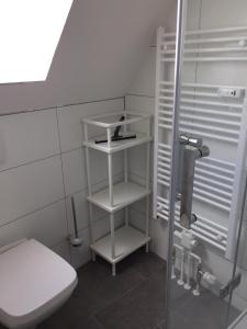 KronsgaardにあるAusguck - 93812のバスルーム(白いトイレ、シャワー付)
