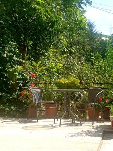Giardino di Four Seasons in Kutaisi