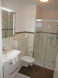 a bathroom with a shower and a toilet and a sink at "Landhaus Voss" Typ 4 Nr11 in Staberdorf