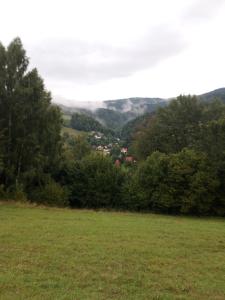 un champ verdoyant avec des arbres et une ville au loin dans l'établissement Pokoje gościnne Celina i Waldemar Szwala, à Wierchomla Mała
