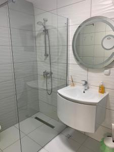 bagno con doccia, lavandino e specchio di Casa Antonia Busteni a Buşteni