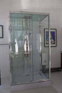 a glass shower stall in a room at Zaunkönig in Bad Sülze
