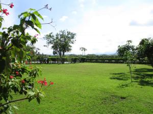 Joel's Garden 悠爾庭園古厝民宿外面的花园