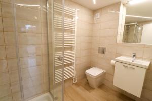 a bathroom with a shower and a toilet and a sink at Bohinj - Old Village House in Bohinj +25 photos