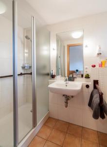 een badkamer met een douche en een wastafel bij Baumgartenschneid in Bad Wiessee