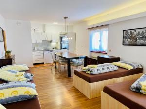 Kuchyň nebo kuchyňský kout v ubytování Apartmany Kadleců