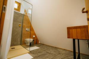 ein Bad mit einer Dusche und einem WC in der Unterkunft Livada 45 II in Borsa