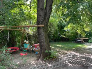 a swing tied to a tree in a park at GERARDUS apartman in Budapest
