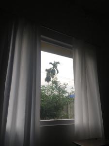 Φωτογραφία από το άλμπουμ του Saroni Homestay,Tangabari,Salbari 30 mins from Manas NPark σε Hudukhāta