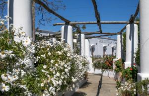 a garden of flowers on a white fence at Hotel Bellavista in Anacapri