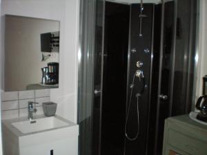 a bathroom with a shower with a sink and a toilet at Le Saint André in Villeneuve-lès-Avignon