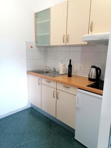 Kuchyň nebo kuchyňský kout v ubytování Apartments Melinda